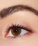Close-up of a person’s eye with full, bushy eyebrows