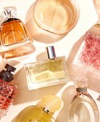 An assortment of perfumes on a cream background